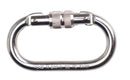 Screwgate Carabiner